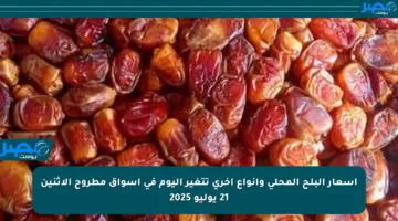 أسعار البلح المحلي وأنواع أخرى تتغير اليوم في أسواق مطروح الاثنين 21 يوليو 2025